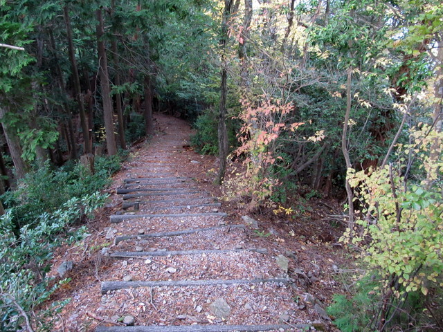 t12_147.jpg