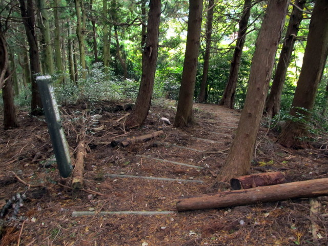 t12_148.jpg