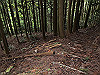 t12_150_thumb.jpg