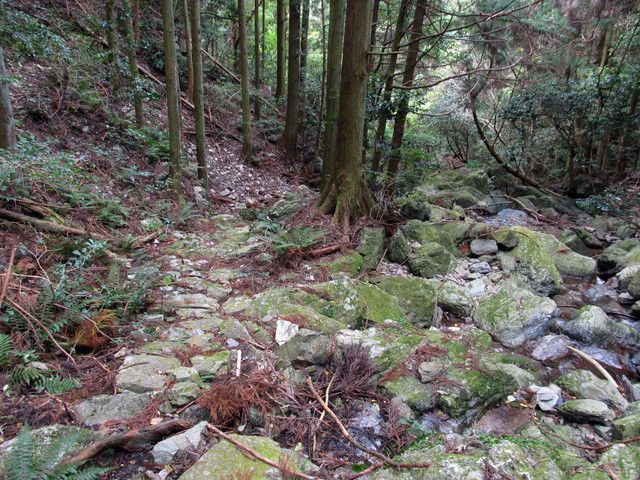 t12_153.jpg