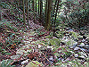 t12_153_thumb.jpg