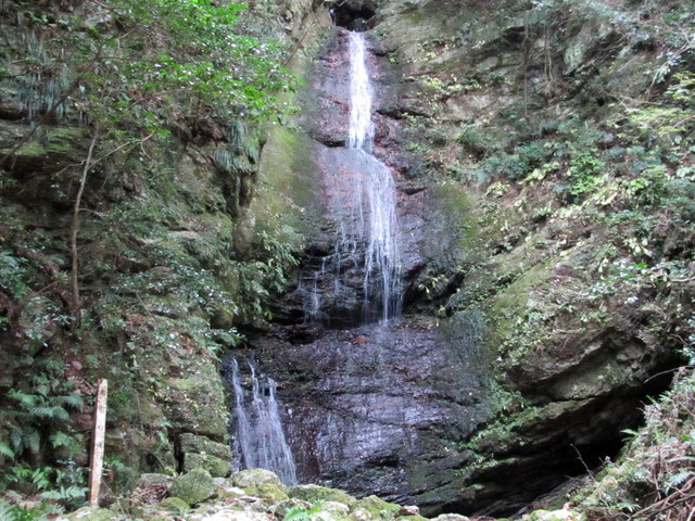 t12_155.jpg