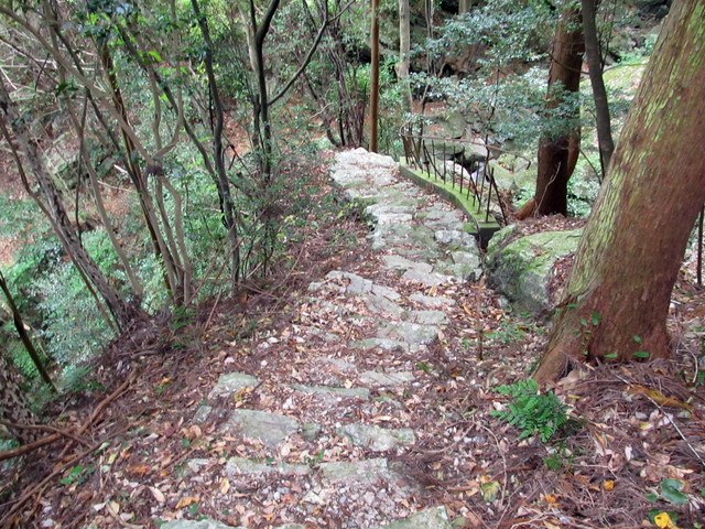 t12_157.jpg