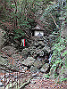t12_158_thumb.jpg