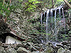 t12_159_thumb.jpg