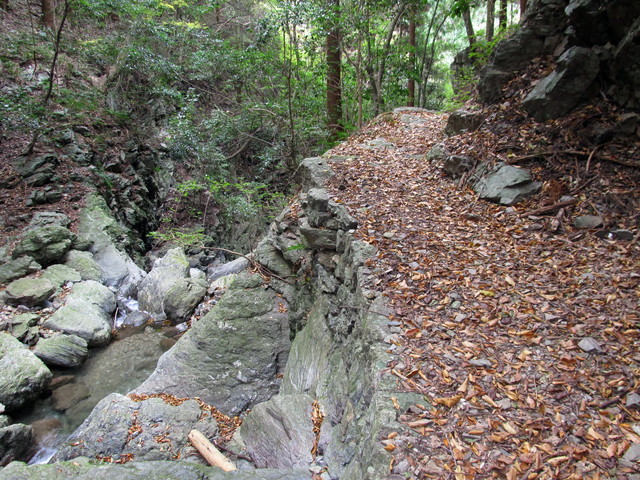 t12_160.jpg