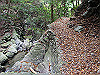 t12_160_thumb.jpg