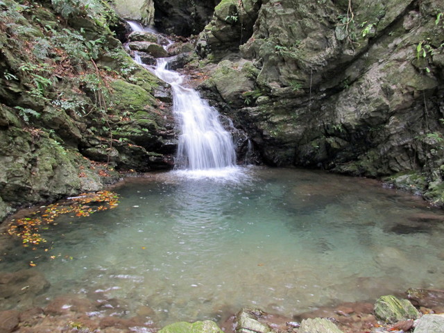 t12_162.jpg