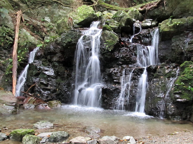 t12_163.jpg