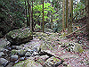 t12_164_thumb.jpg