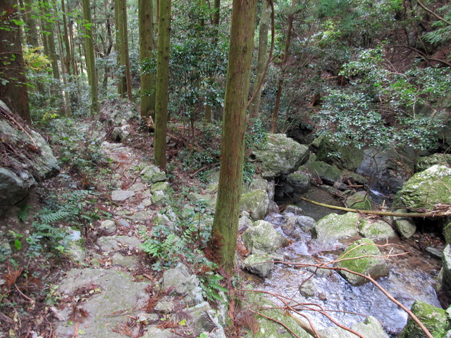t12_165.jpg