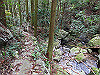 t12_165_thumb.jpg