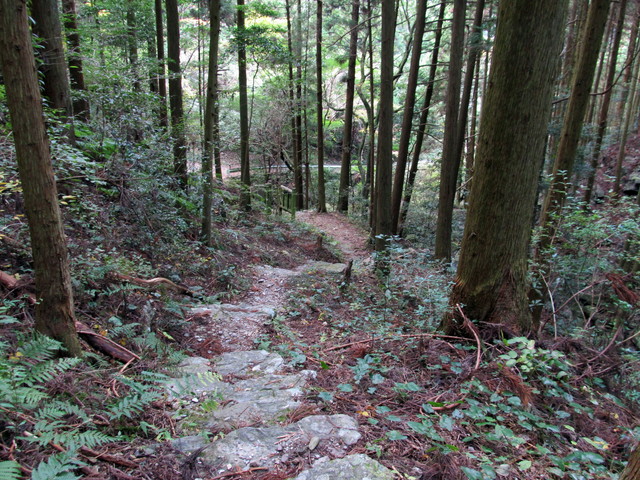 t12_167.jpg