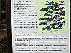 t12_171_thumb.jpg