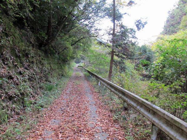 t12_173.jpg