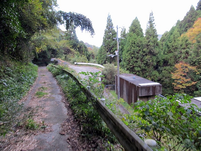t12_174.jpg
