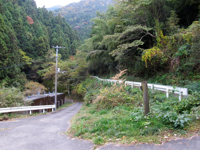 t12_175.jpg