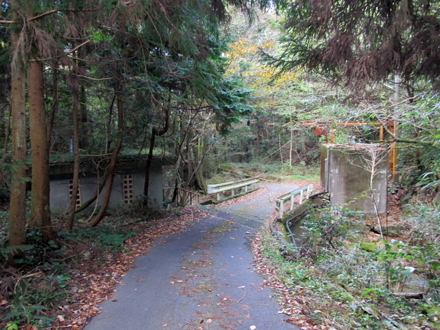 t12_176.jpg