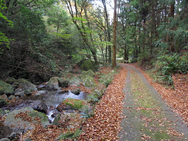 t12_179.jpg