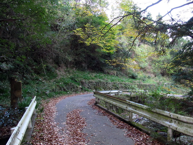t12_180.jpg