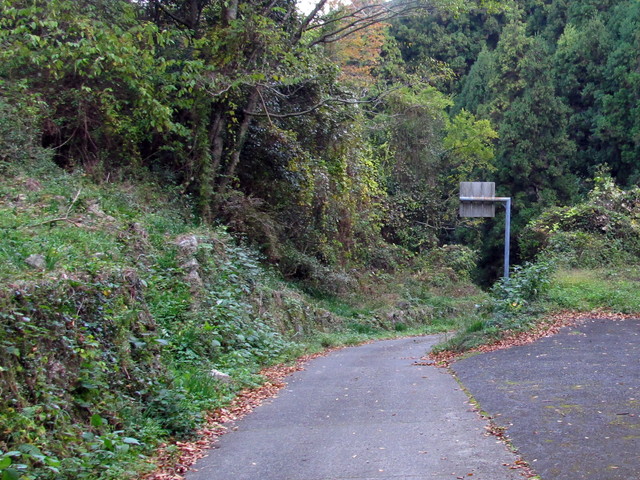 t12_182.jpg