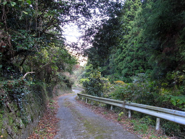 t12_183.jpg