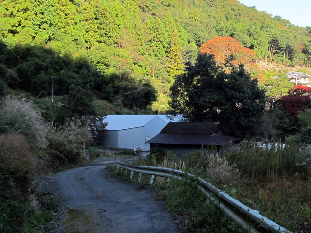 t12_184.jpg