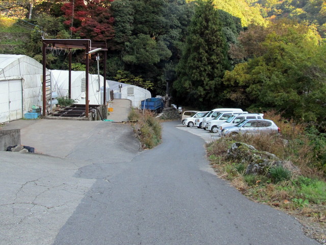 t12_185.jpg