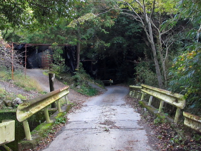 t12_186.jpg