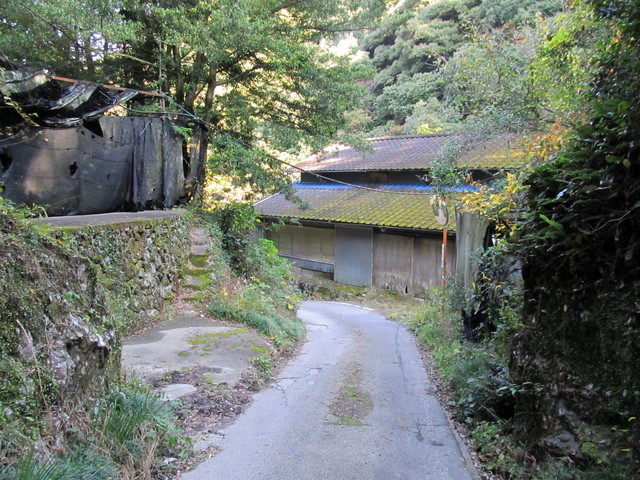 t12_187.jpg