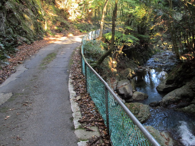 t12_190.jpg