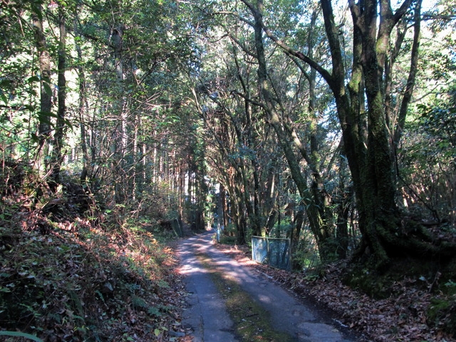 t12_191.jpg
