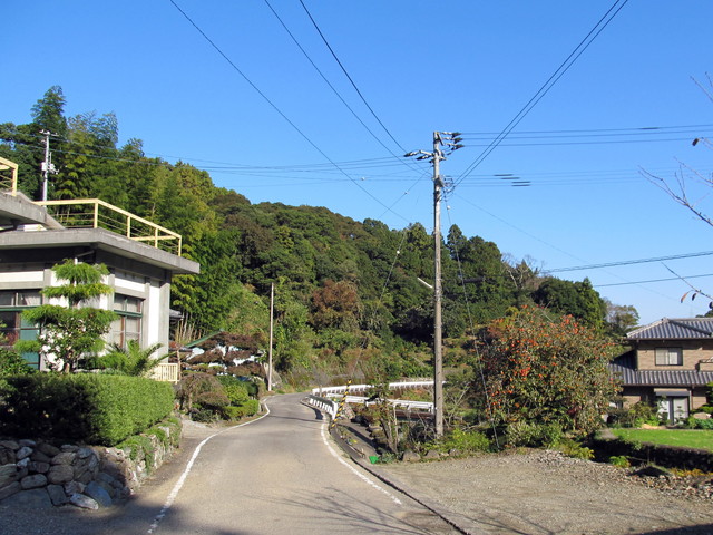 t12_192.jpg
