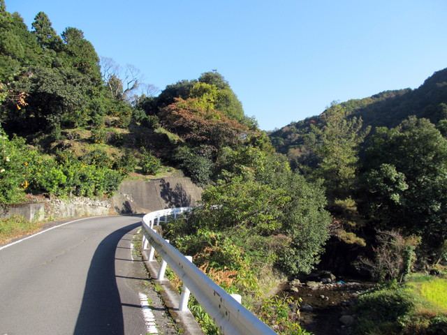 t12_193.jpg