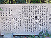 t12_194_thumb.jpg