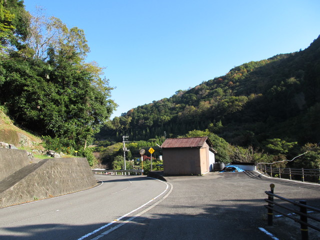t12_195.jpg
