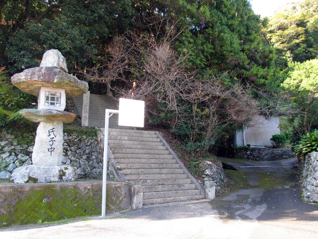 t12_197.jpg
