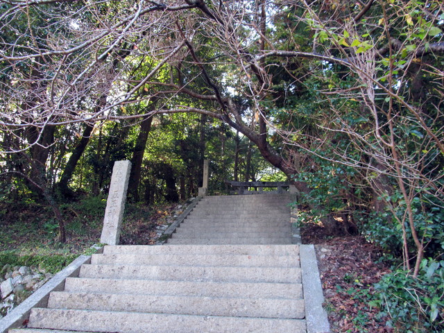t12_198.jpg