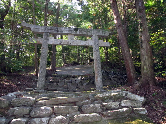 t12_199.jpg