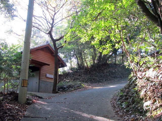 t12_200.jpg
