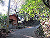 t12_200_thumb.jpg