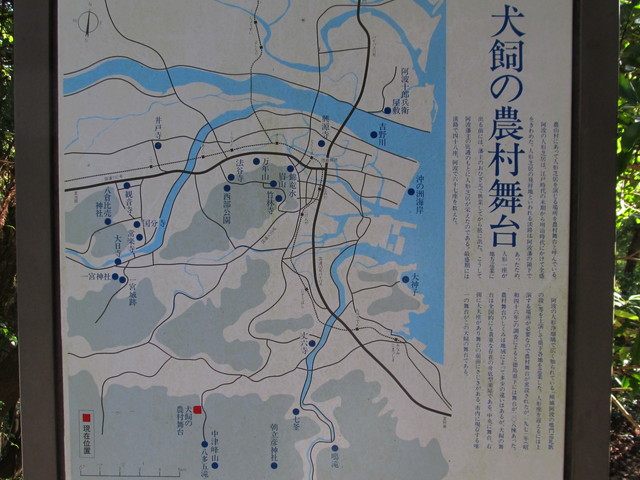 t12_204.jpg