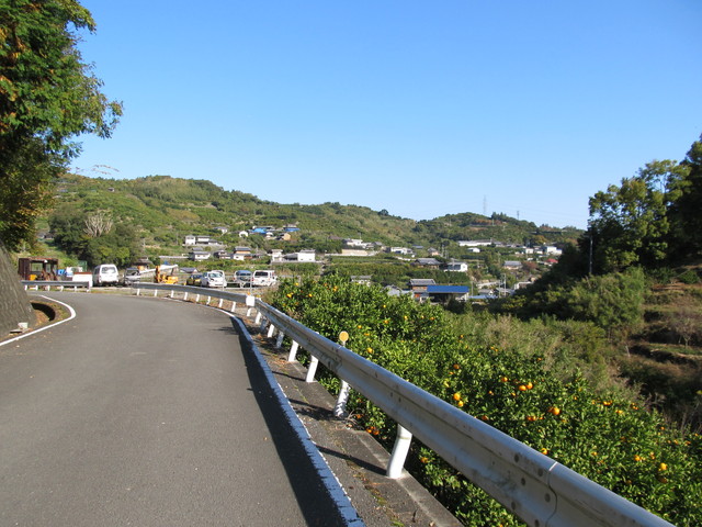 t12_205.jpg