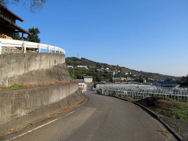 t12_207.jpg
