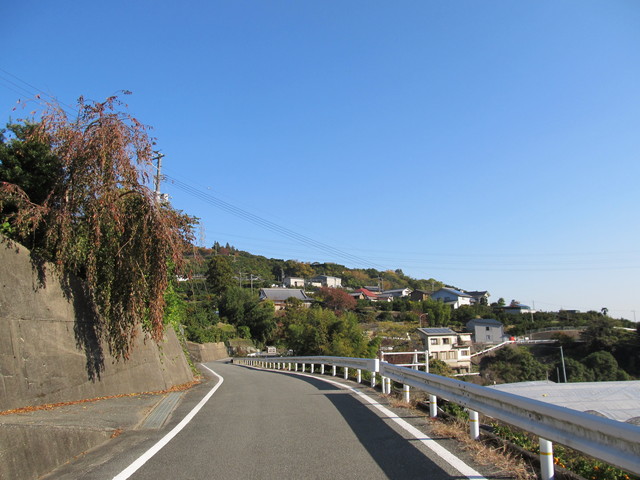 t12_208.jpg