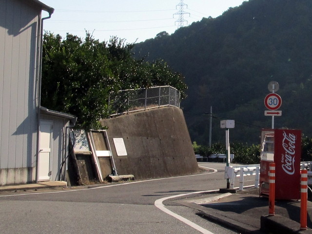 t12_209.jpg