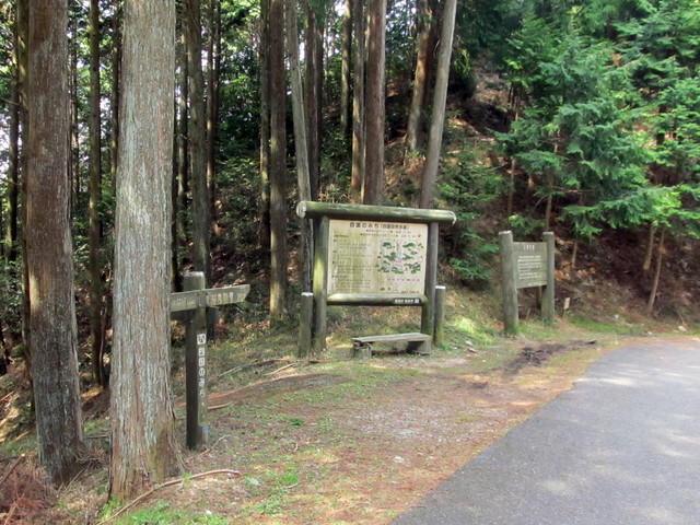 t13_001.jpg