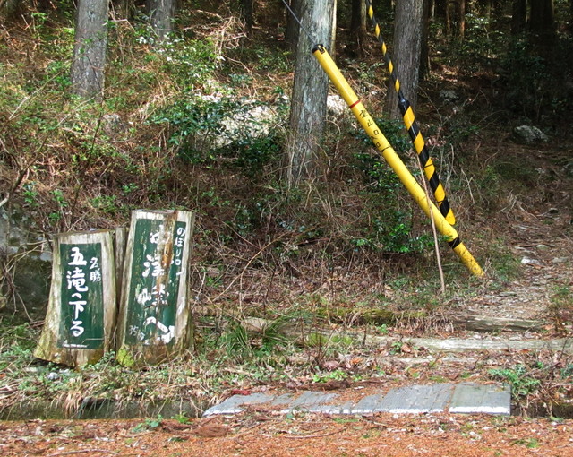 t13_002.jpg