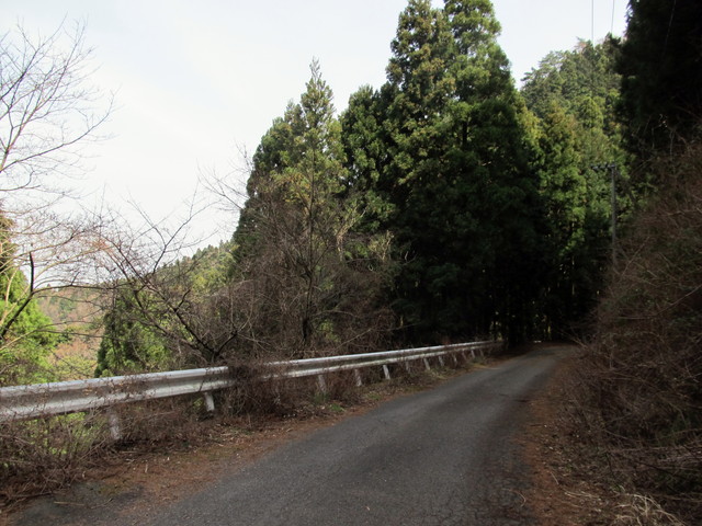t13_003.jpg