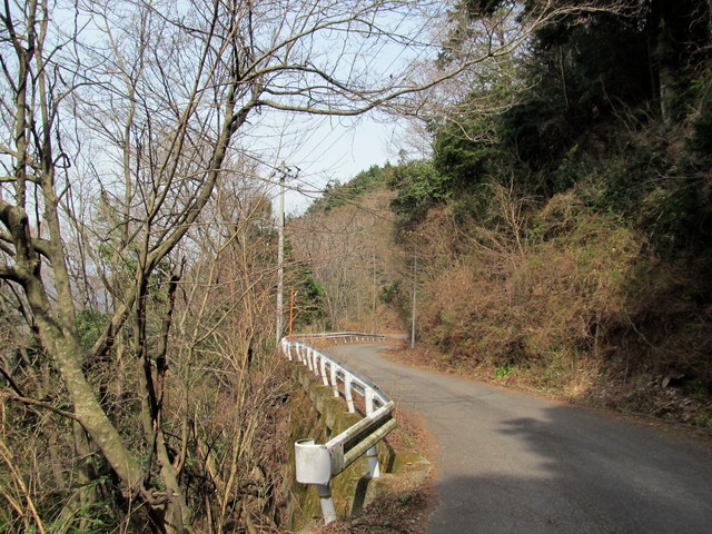 t13_005.jpg